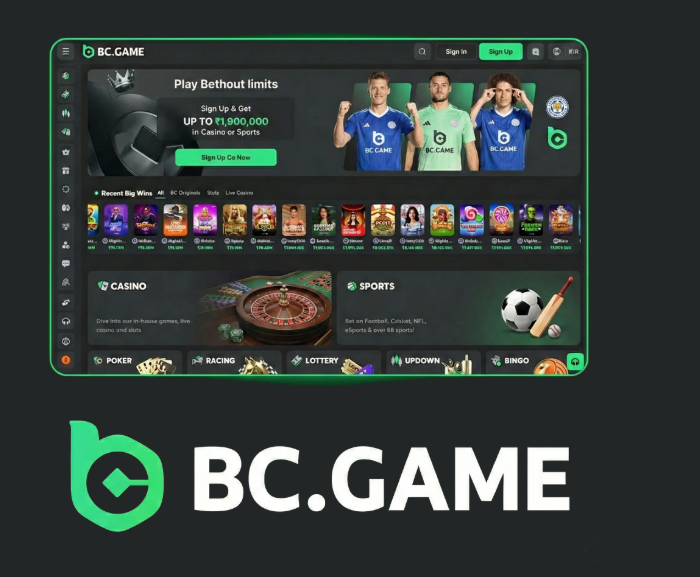 BC.Game Bonuses Overview Maximize Your Experience